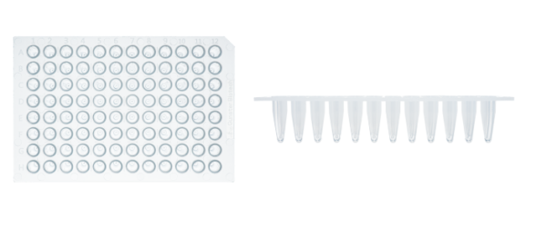 0.2ml Standard Profile PCR 96 Well Plate (Non Skirted)