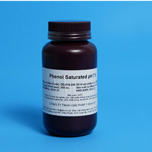 PHENOL SATURATED PH 7.9 (DD-019)