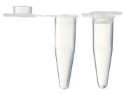 0.2 ml PCR Tubes